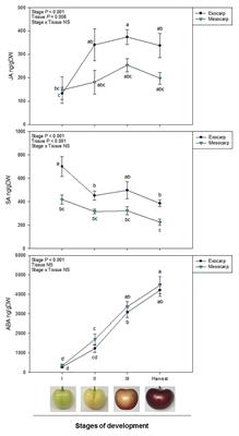 Differential Tissue-Specific Jasmonic Acid, Salicylic Acid, and Abscisic Acid Dynamics in Sweet Cherry Development and Their Implications in Fruit-Microbe Interactions